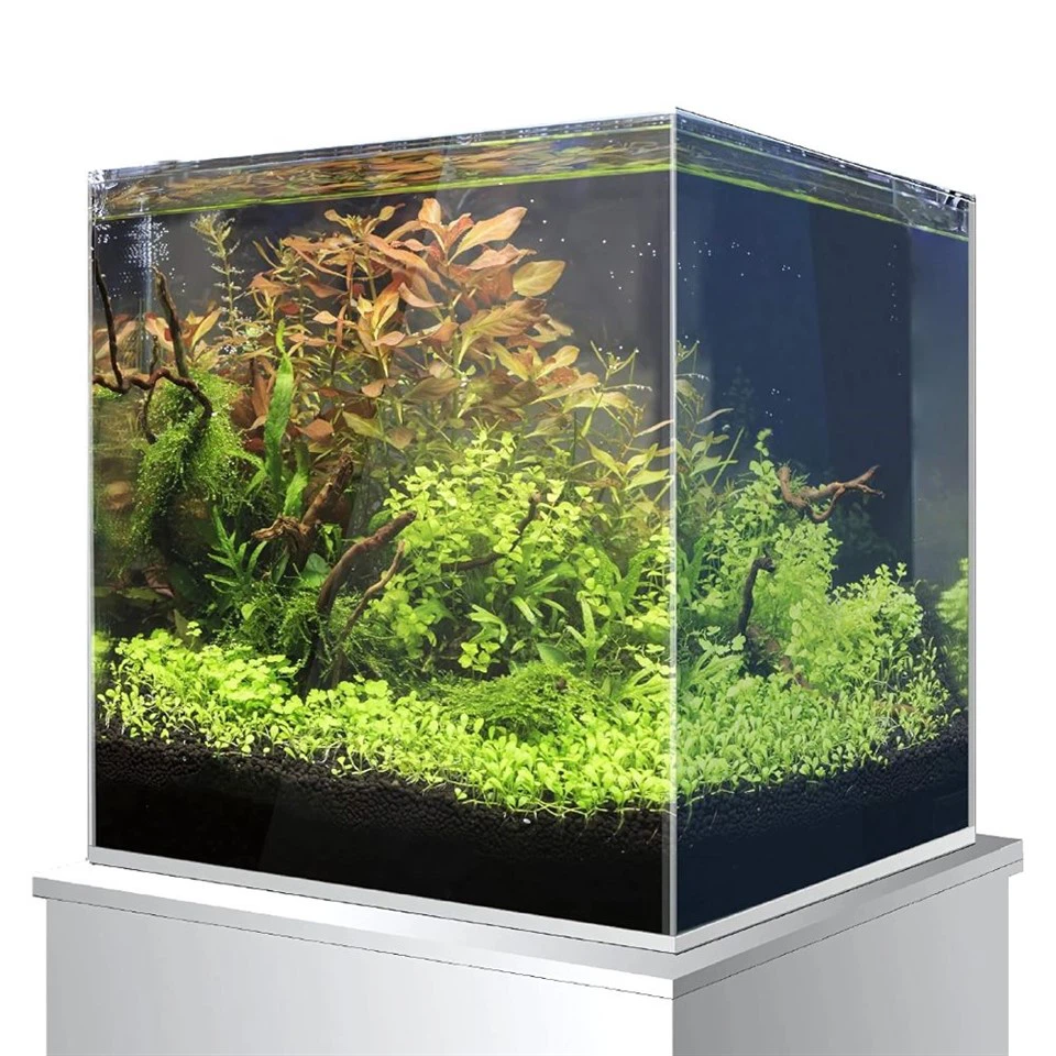 Large Nano Tank