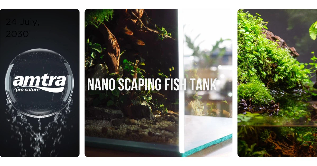 NANO SCAPING BANNER